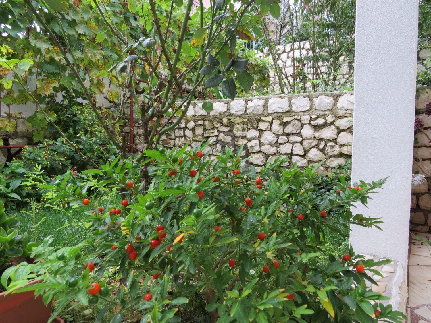 Apartment Bubi Trogir Exteriör bild